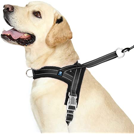 Make Every Stroll Less difficult using a Good quality No Draw Funnel for your personal Pet!